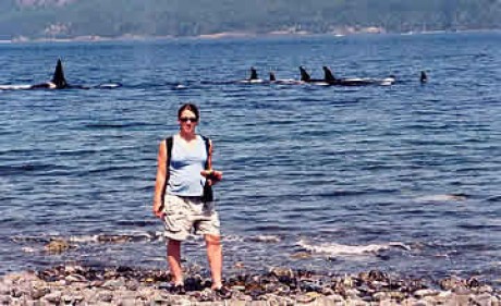 orcas_as_viewed_from_beach.jpg