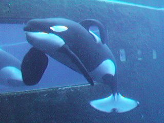 05f1df9945_4234860_u.jpg