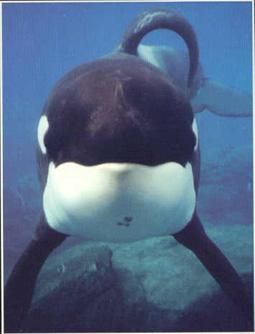 keiko1.jpg