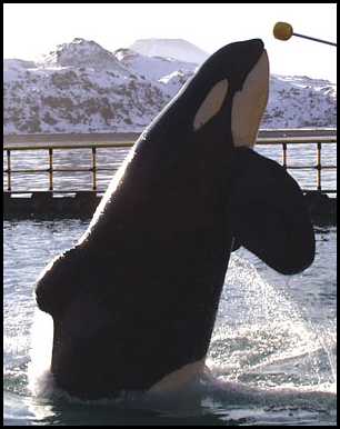 9cca39f81a_3005631_o2.jpg