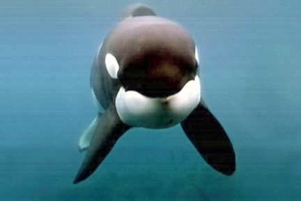 27509c3017_3002857_o2.jpg