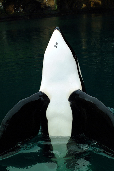 b3e109b594_16246081_o2.jpg