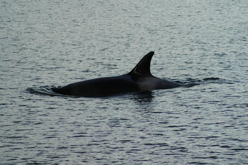 DSC_2151.jpg