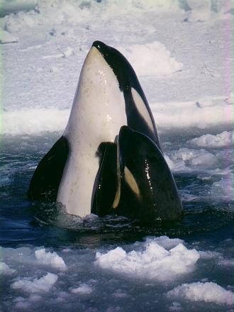 articleImage (0).jpg