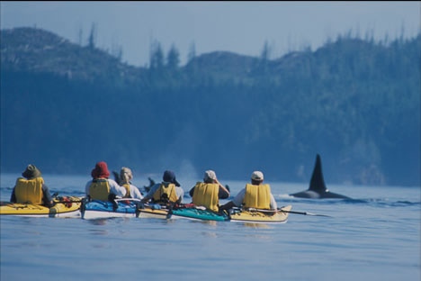 de40_kayak_main_01_3.jpg