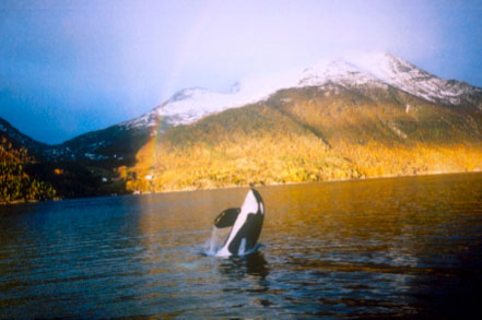 gallery_7
