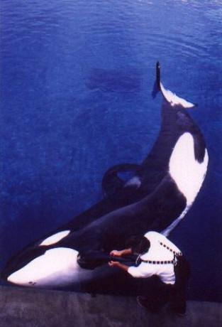 Keiko6