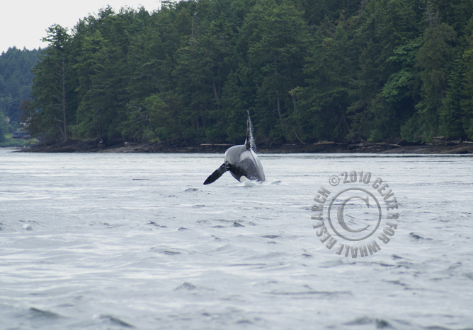 21_20100601EEH_DG4-038