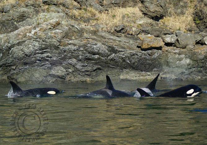 45_20100723EEH_SJ1-151