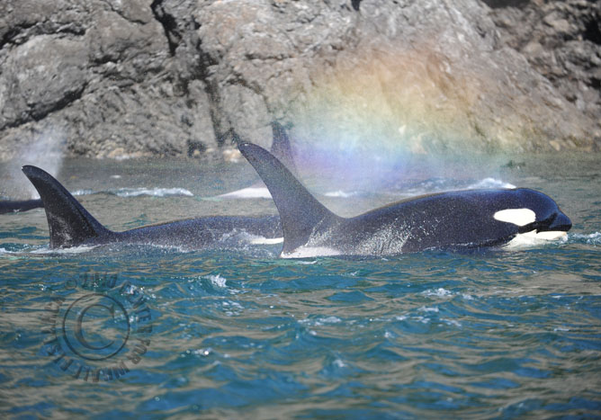 45_20100723KCB_SJ1-258