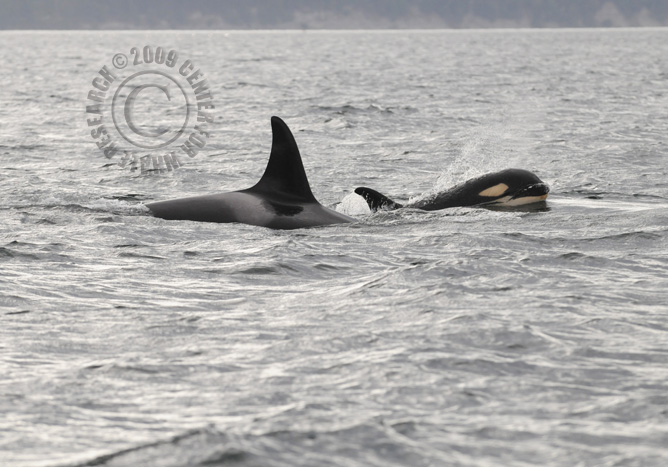 46_20090905KCB_DG1-053