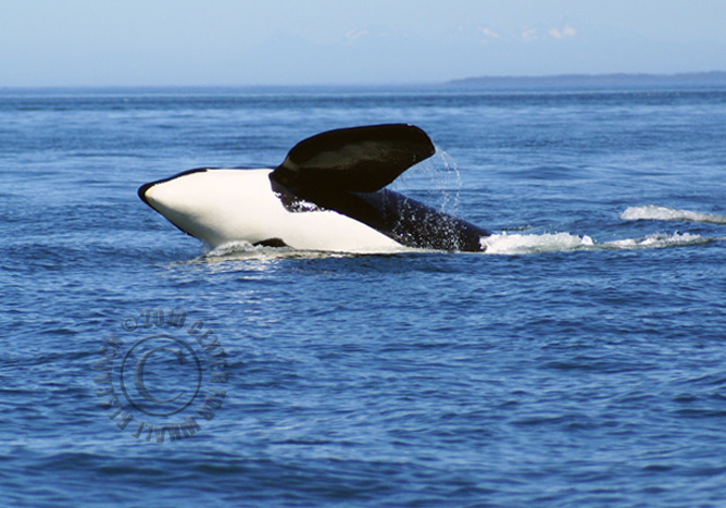 46_20100725CES_SJ2-012