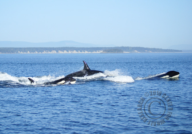 47_20100726CES_SJ2-040