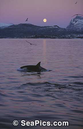 096595_002.jpg