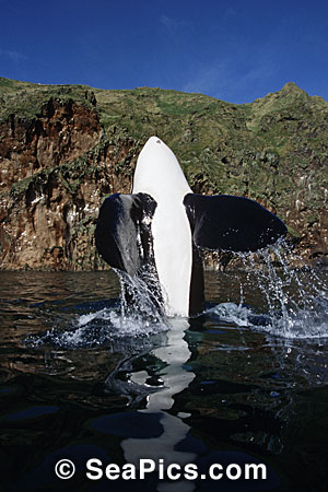 078645_002.jpg