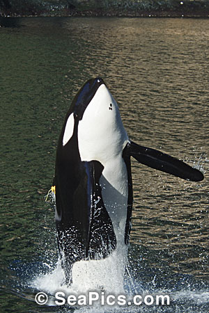 078647-V_002.jpg